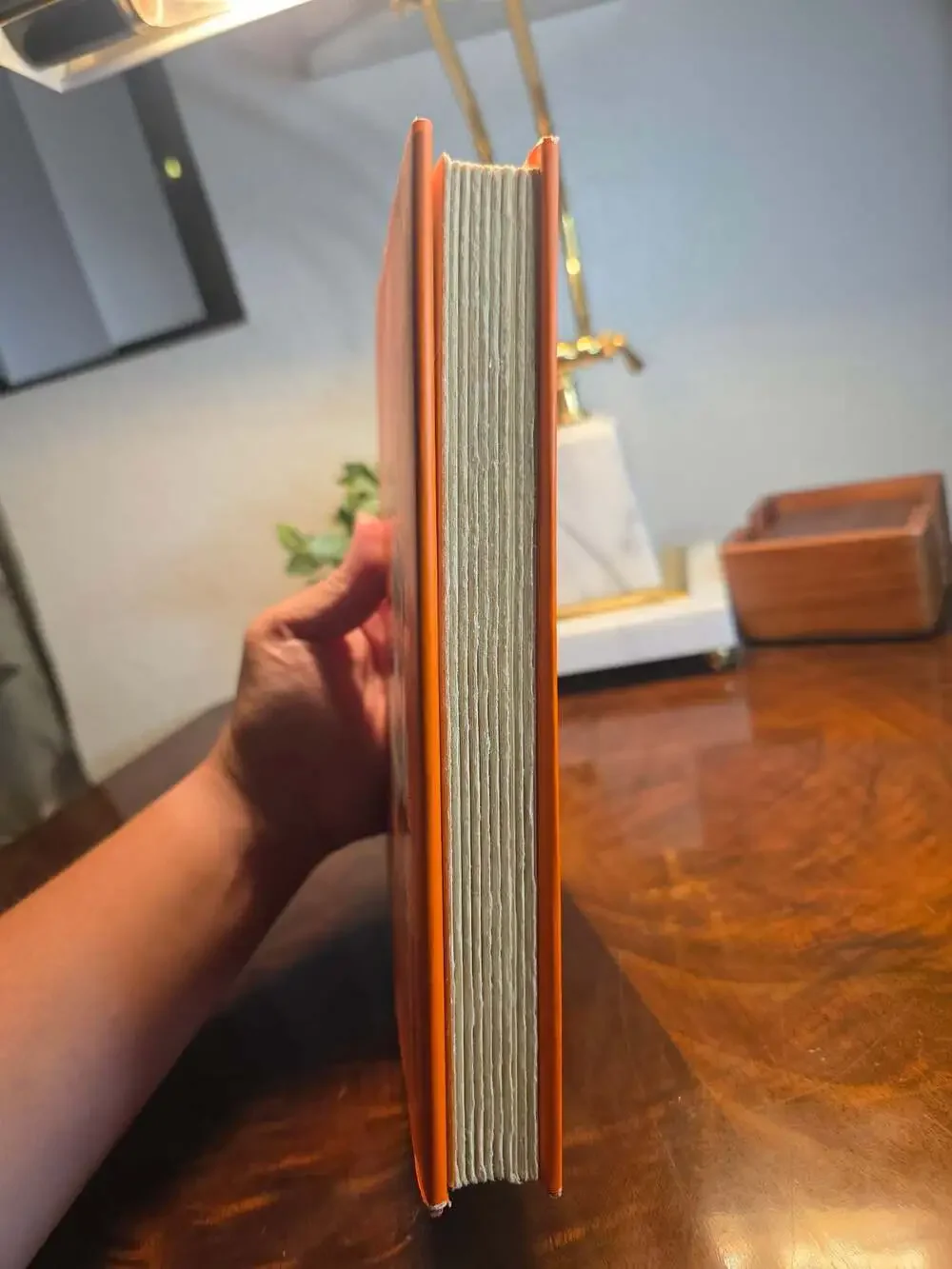Mister Monkey: A Novel by Francine Prose (Hardcover, 1st Edition)